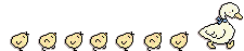 csirkesor27.gif