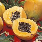 papaya01.jpg papaya01.jpg